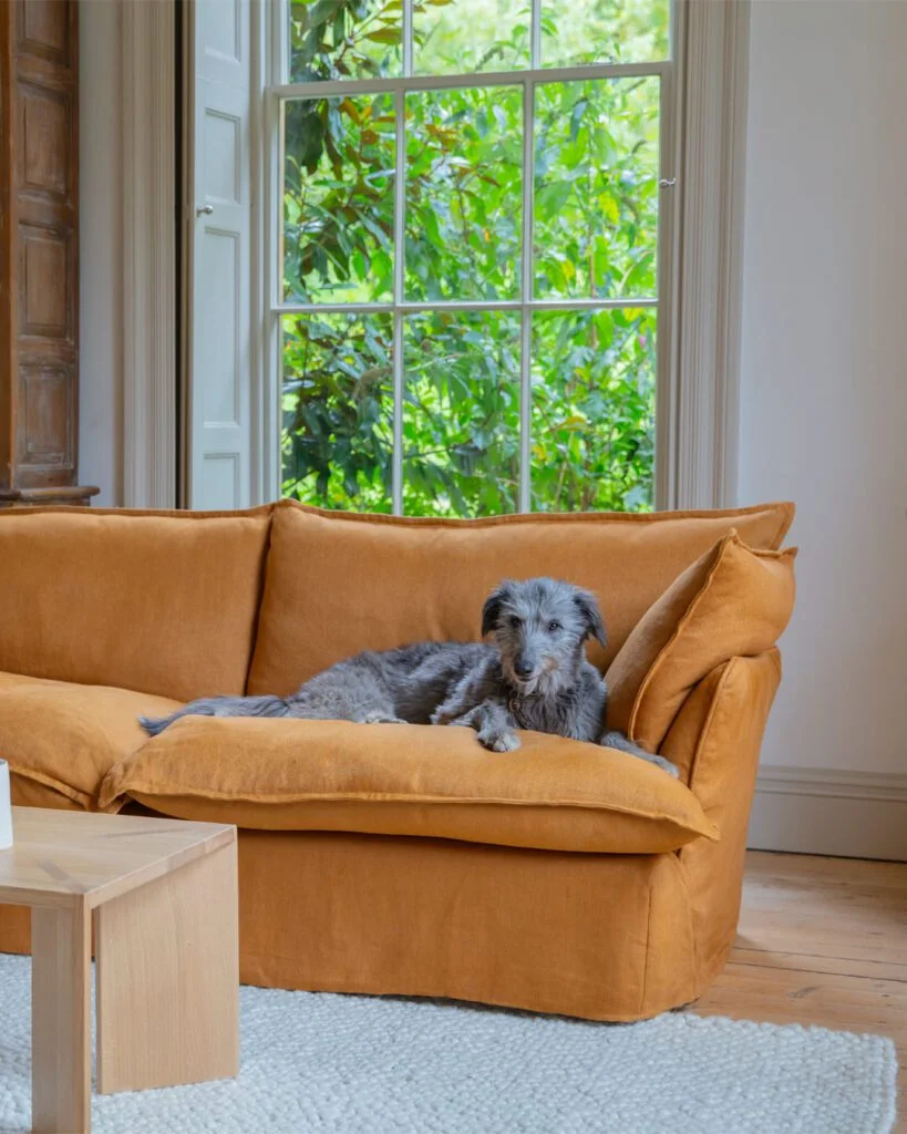 Furniture specialist, Maker&Son launches licensing model in UK Inc & Co Furniture specialist, Maker&Son launches licensing model in UK Inc & Co